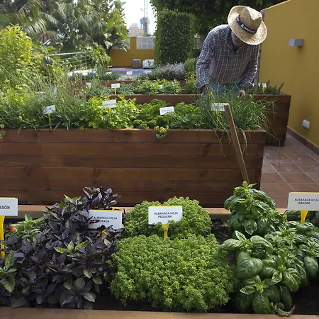 The Cookbook Gastro Boutique & Ξενοδοχείο